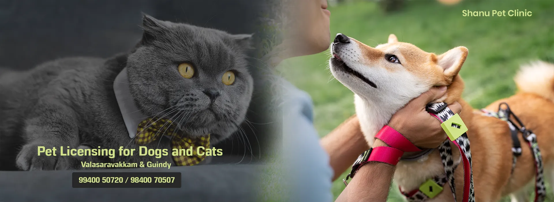 Pet Licensing for Dogs & Cats in Valasaravakkam and Guindy